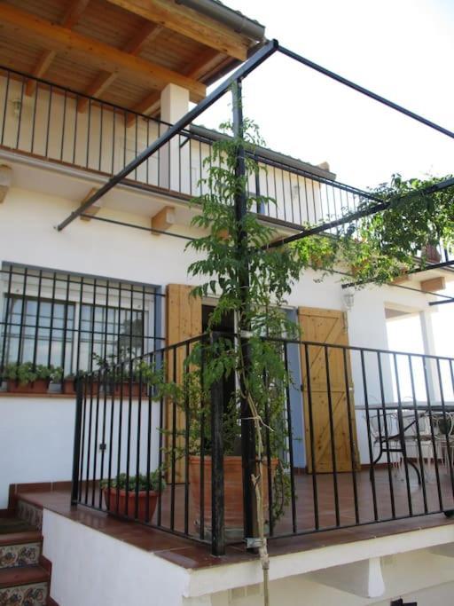 Casa La Higuera Villa Chulilla Exterior photo