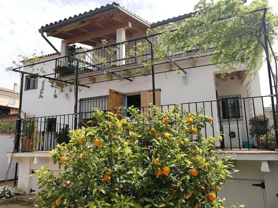 Casa La Higuera Villa Chulilla Exterior photo